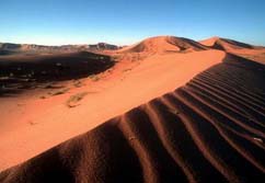 Oman: Wste Rub al-Khali 